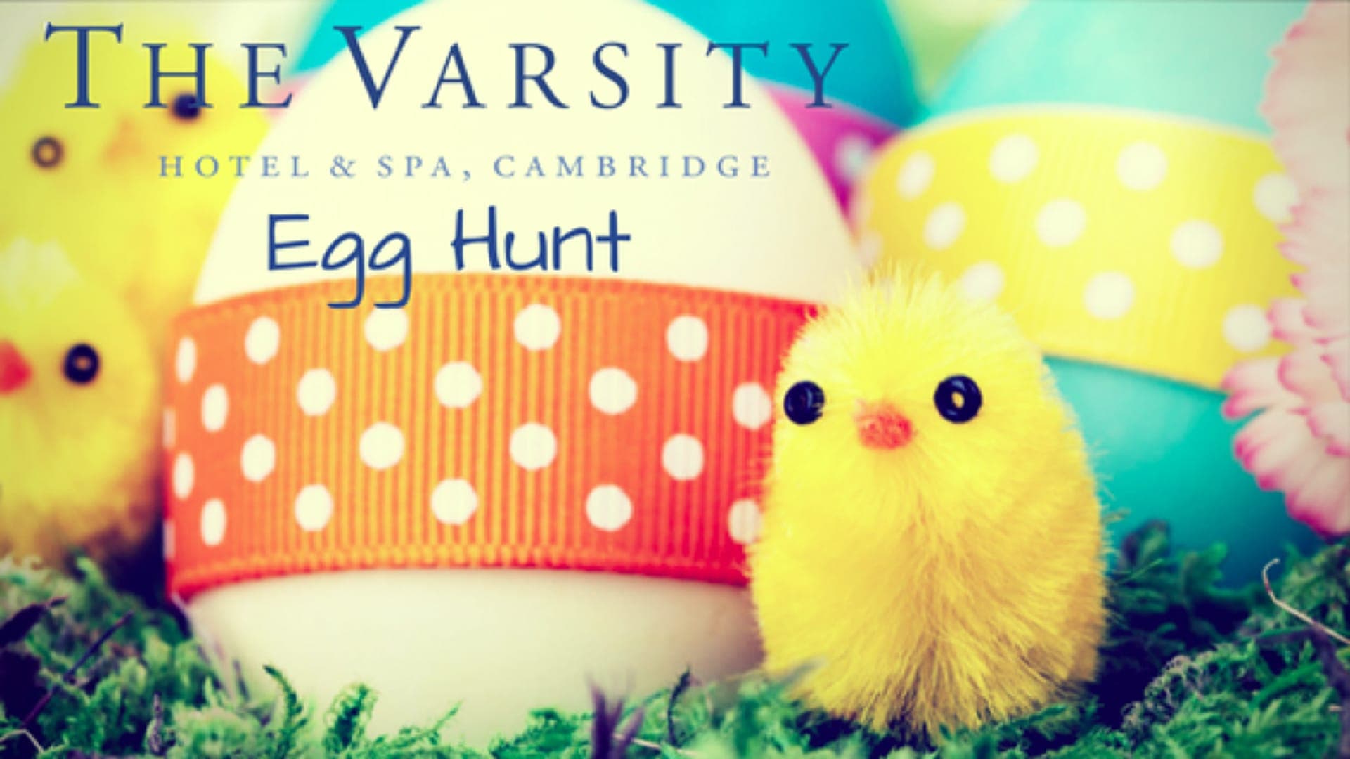 Varsity Easter Hunt
