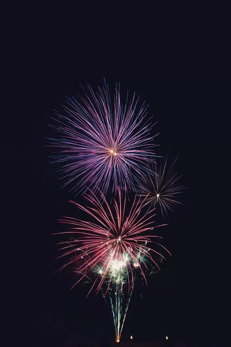 purple and red fireworks in dark sky