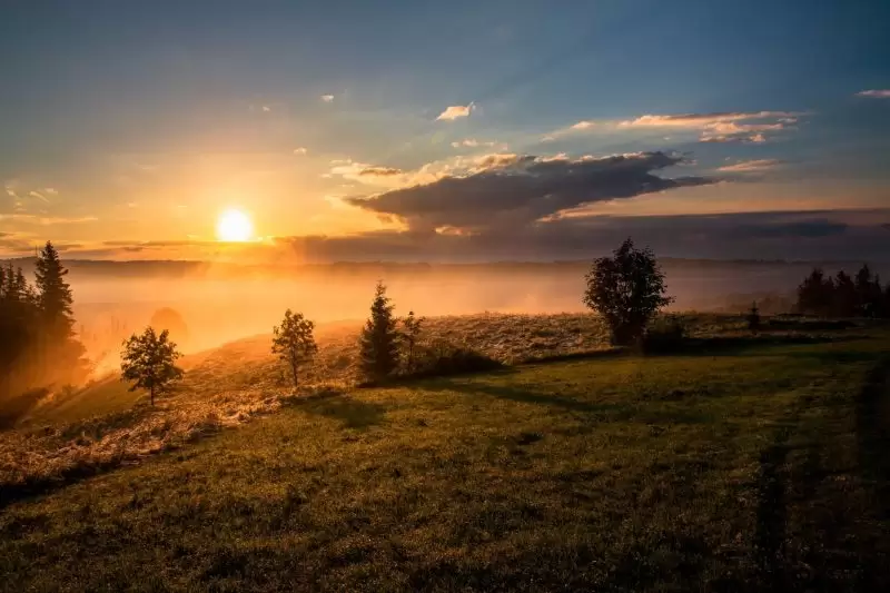 top of tall field with view of sunset and rolling fog over the trees
