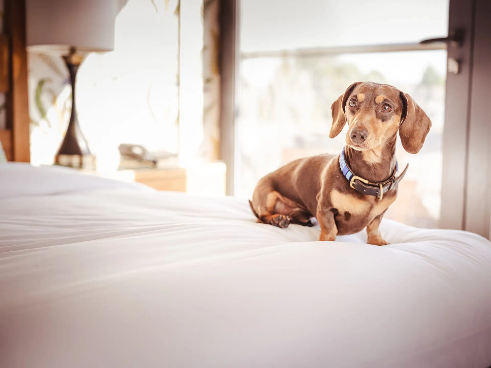 c Paul Winch-Furness – Photographer