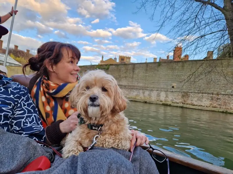 lady on a boat with her dog on the river cam
